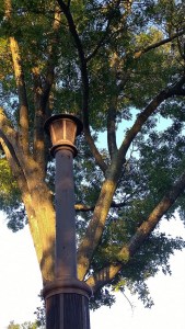 100217-strange-pillar-Wayland-Square