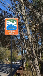 102017-Sudbury-River