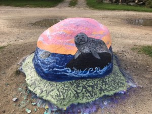 Oct2017-seal-on-rock