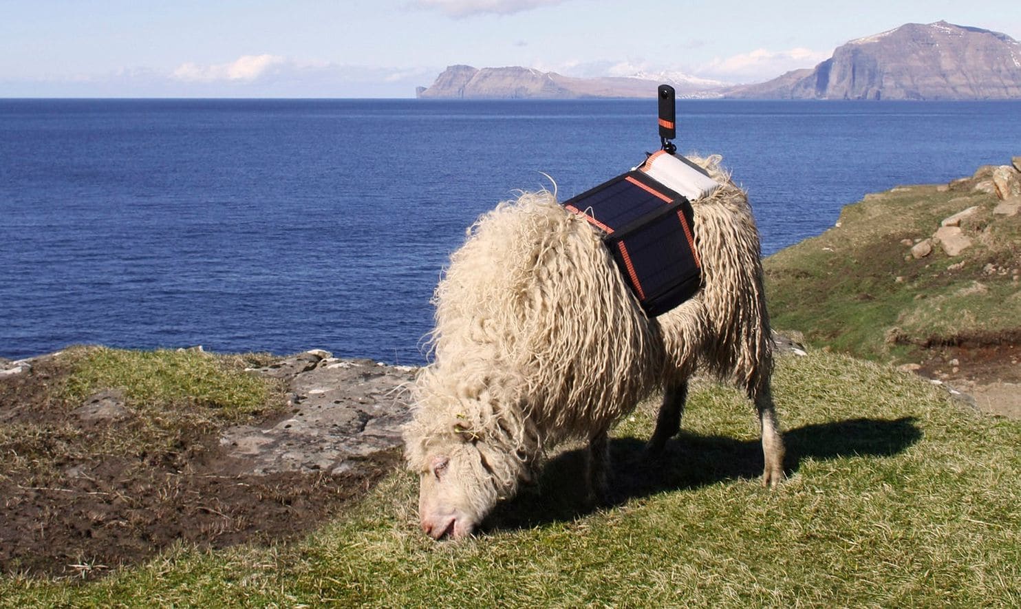 agdyumy44iyappojembzvk4h6u