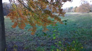 110417-French's-Meadow-Sudbury-R