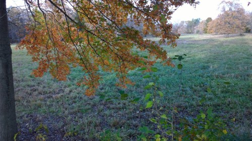 110417-French's-Meadow-Sudbury-R