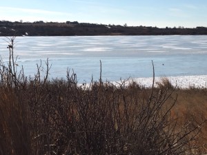 010318-Sandra-Kelly-Block-islandJPG