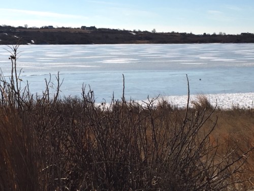 010318-Sandra-Kelly-Block-islandJPG