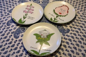 012518-Edward-Lear-plates