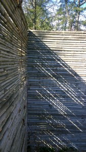 022118-I-Love-Shadows