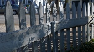 022118-shadows-on-picket-fence