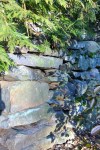 022718-leaf-shadows-stone-wall