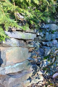 022718-leaf-shadows-stone-wall