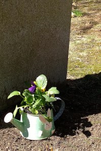 033118-bunny-planter-in-graveyard