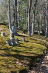 033118-cemetery-shadows