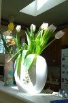 050918-tulips-in-kitchen