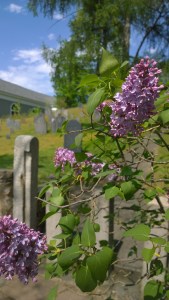 051018-lialcs-and-graveyard