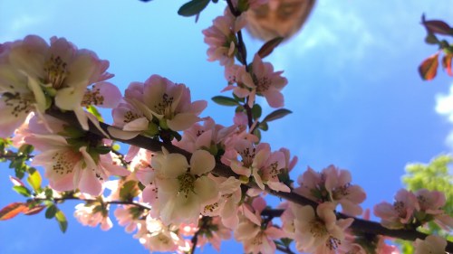 051118-looks-up-at-blue-sky