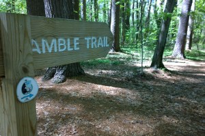 051318-Amble-Trail-Hapgood-Wright-Town-Forest