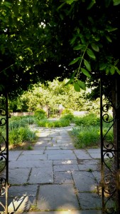 052318-Buttrick-garden-North-Bridge-ConcordMA