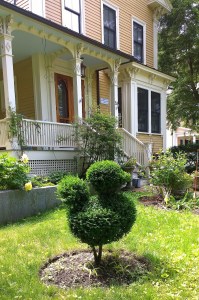 060718-topiary-Concord-MA