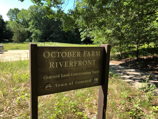 062618-conservation-land-Concord-MA