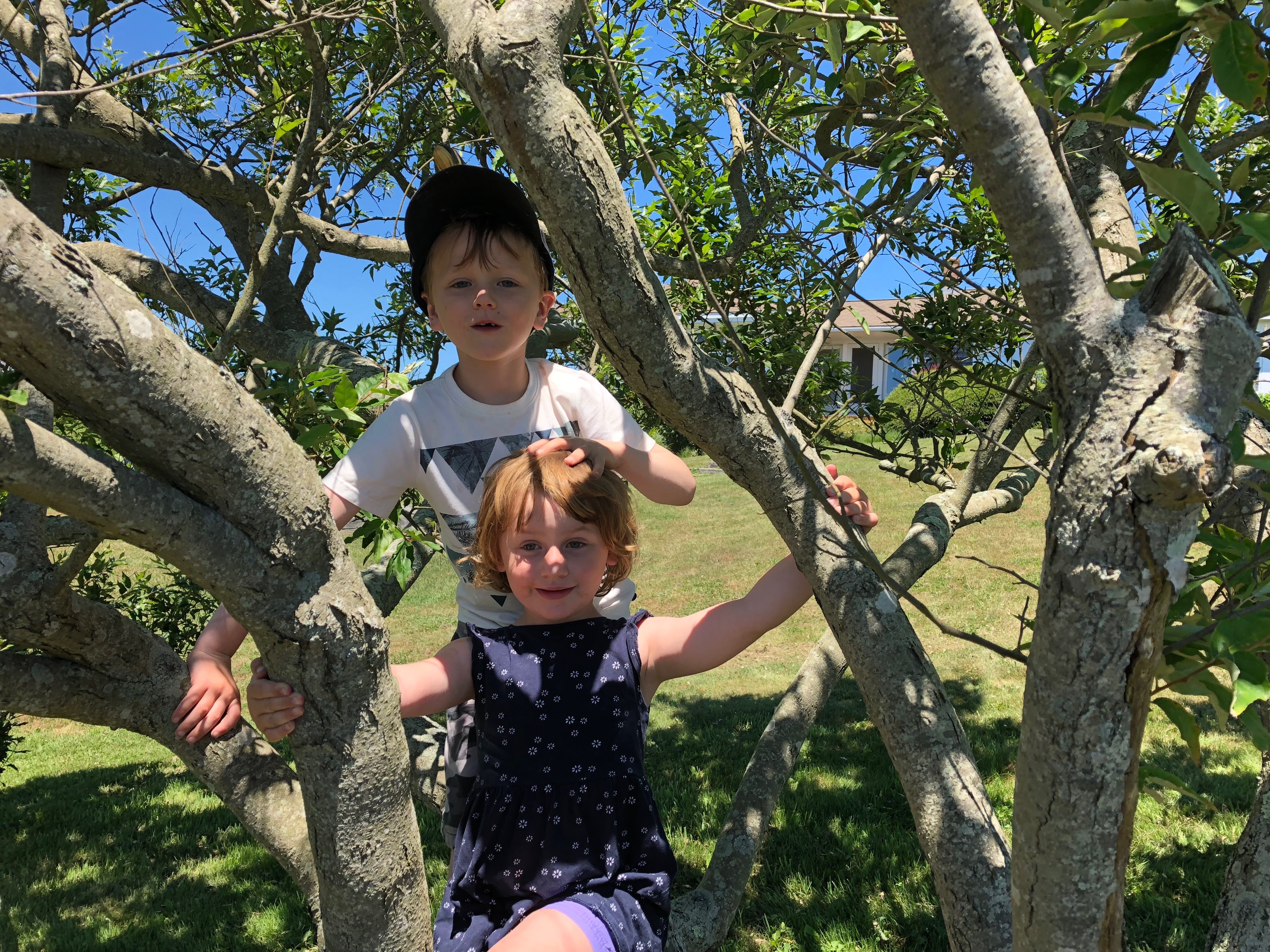 070818-tree-climbing-Rhode-Island