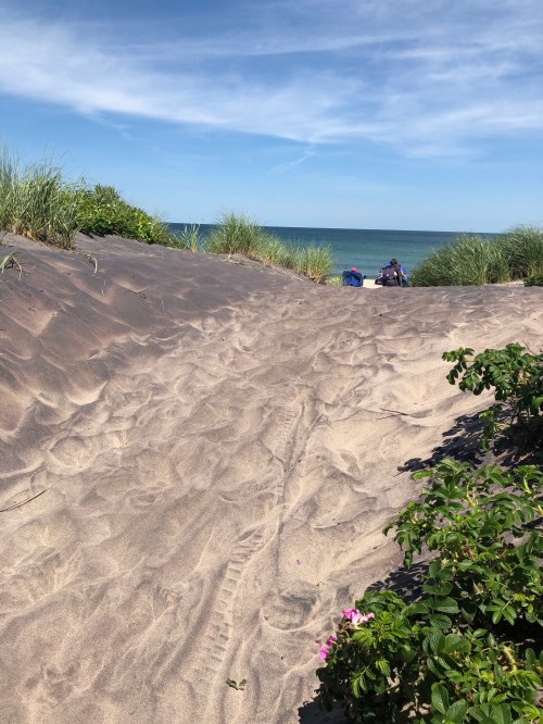 070918-sand-dunes-ocean