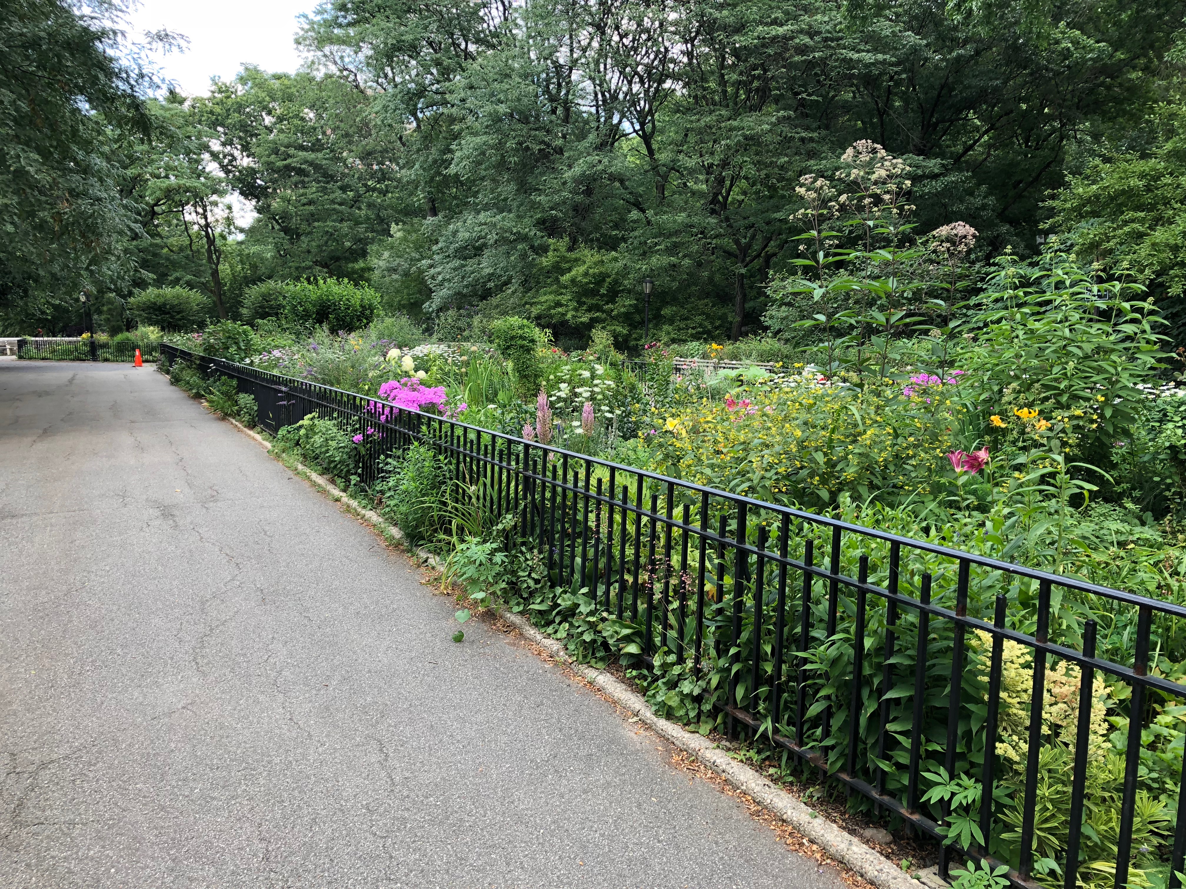 071118-Riverside-Garden-1