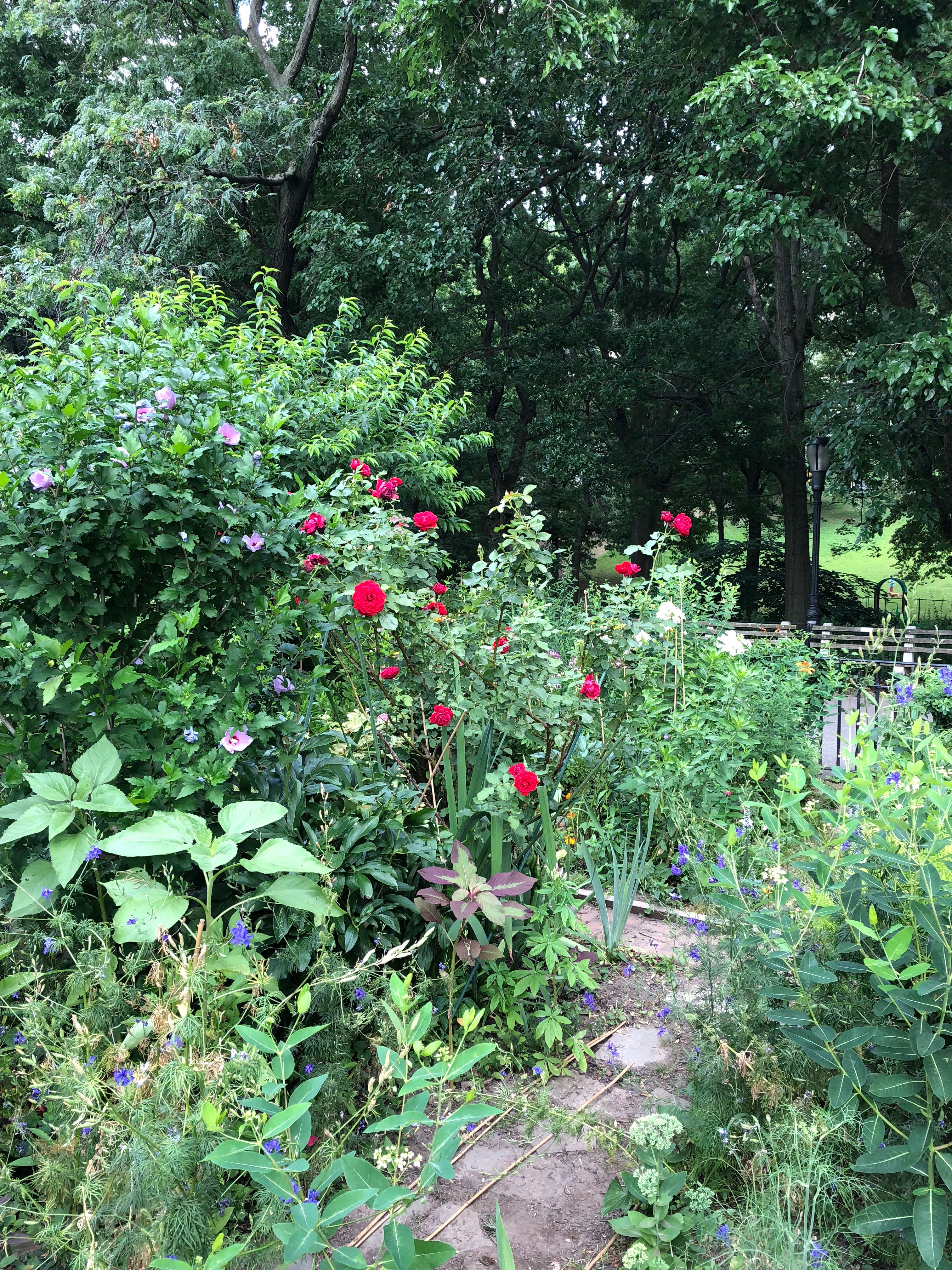 071118-Riverside-Garden-2