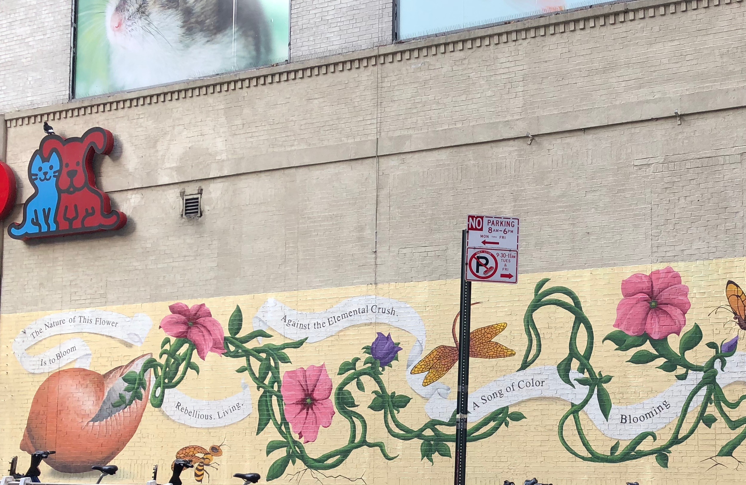 071218-Alice-Walker-1