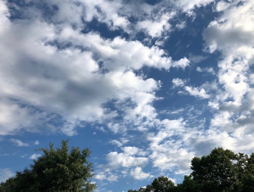 071818-clouds-over-trees 2