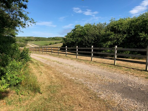 072118-roads-traveled