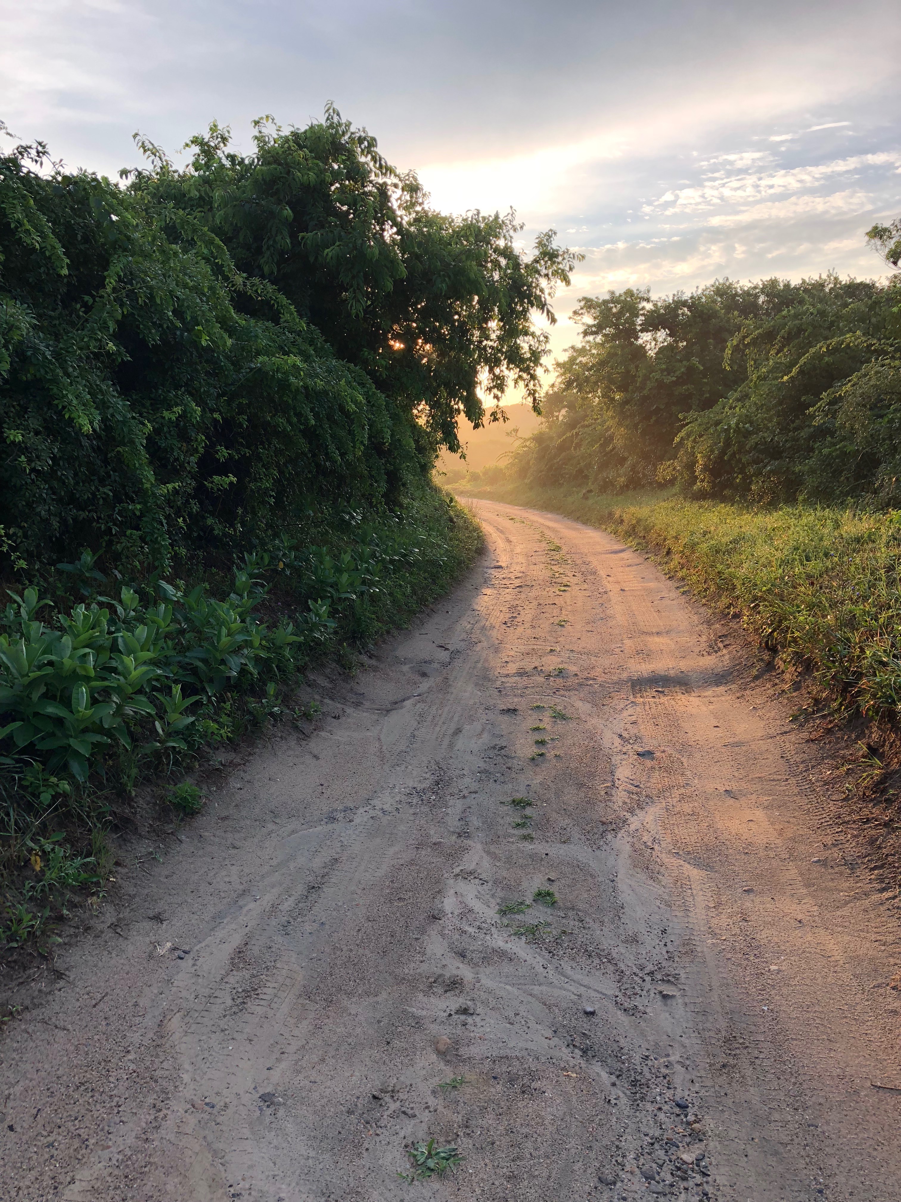 072818-morning-on-an-island