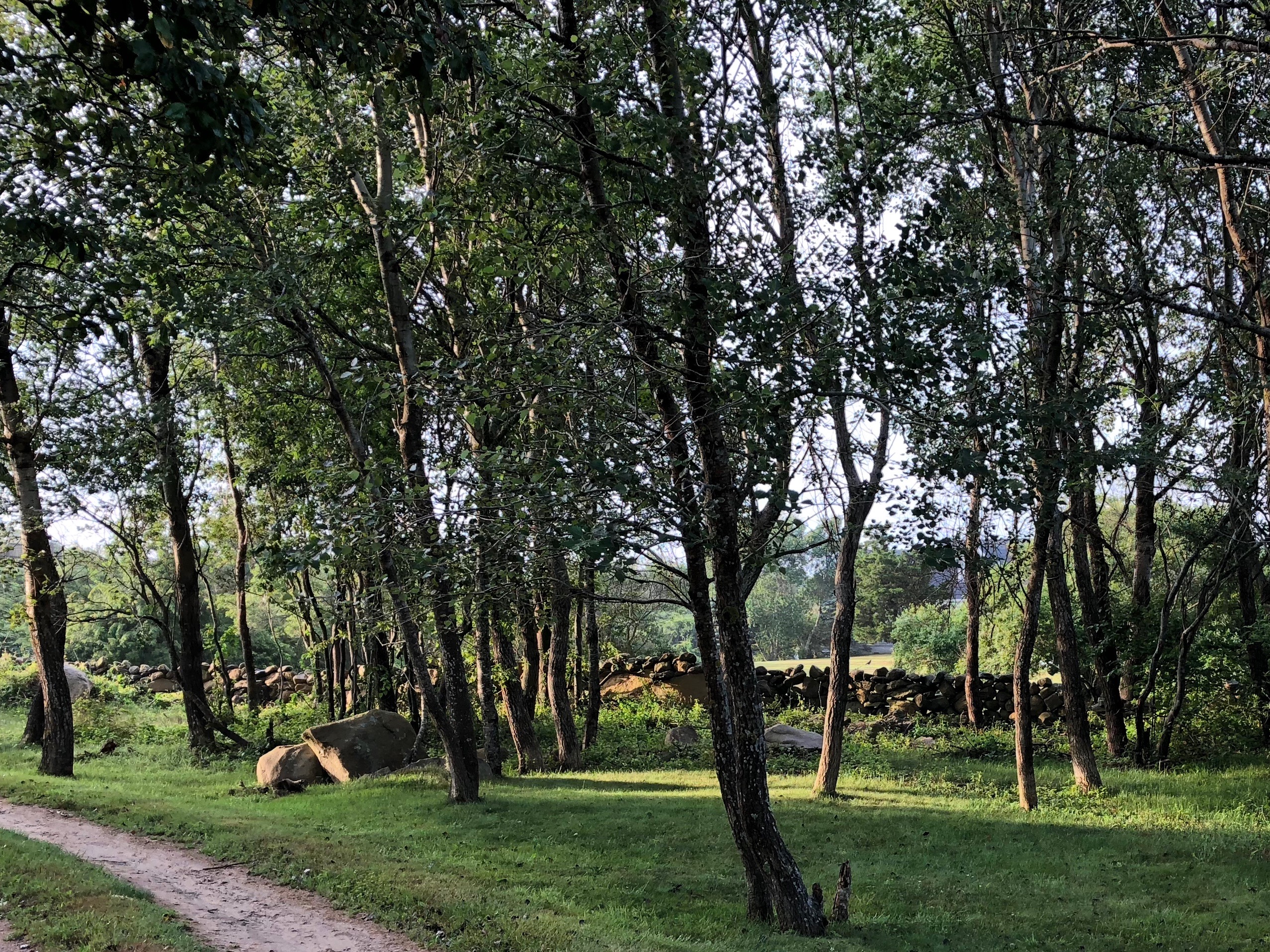 072818-sunny-stonewall