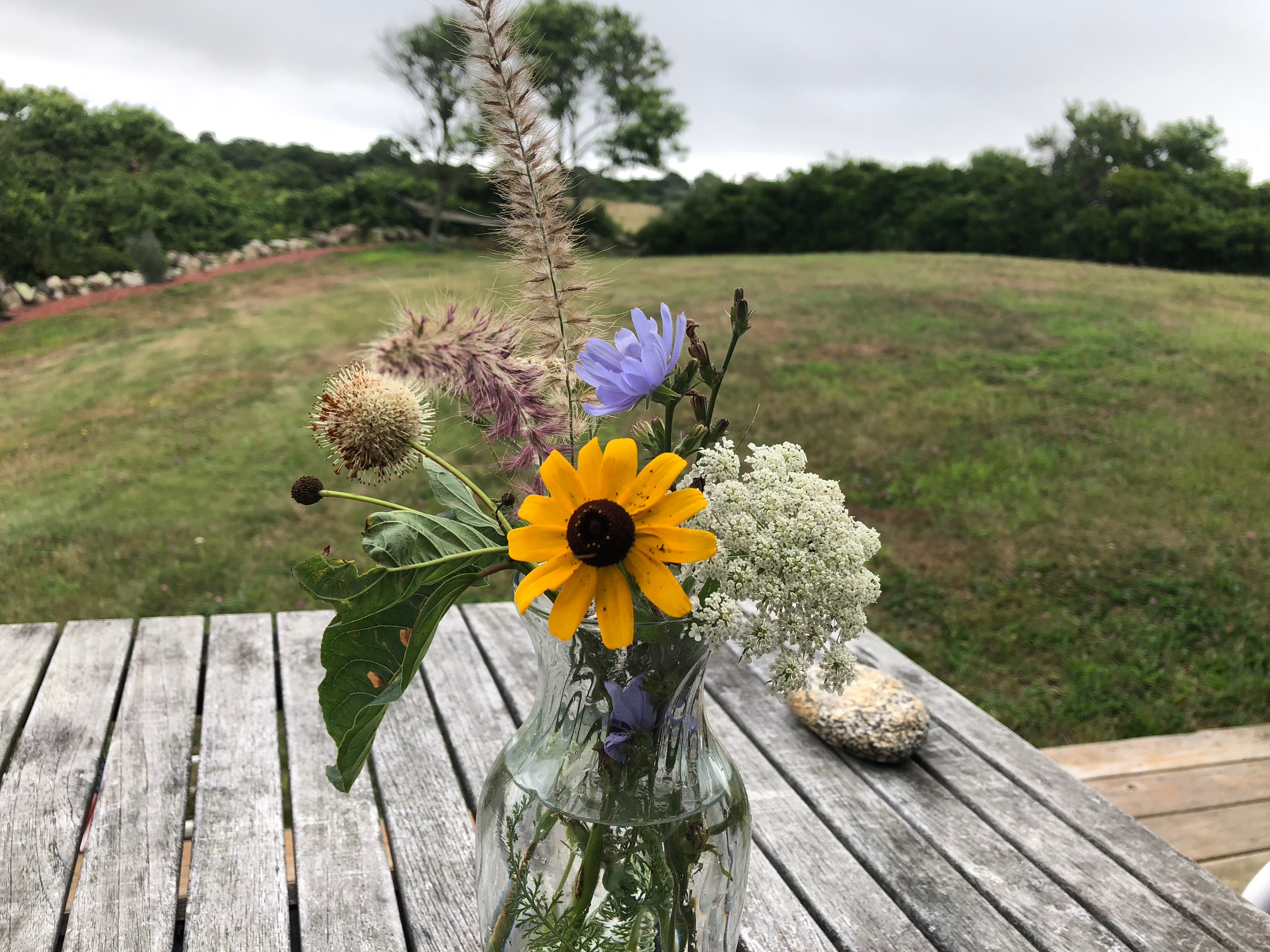 080118-anniversary-wildflowers