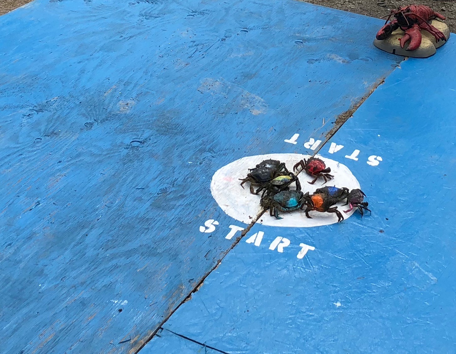 081218-.bucket-lifted-off-crabs