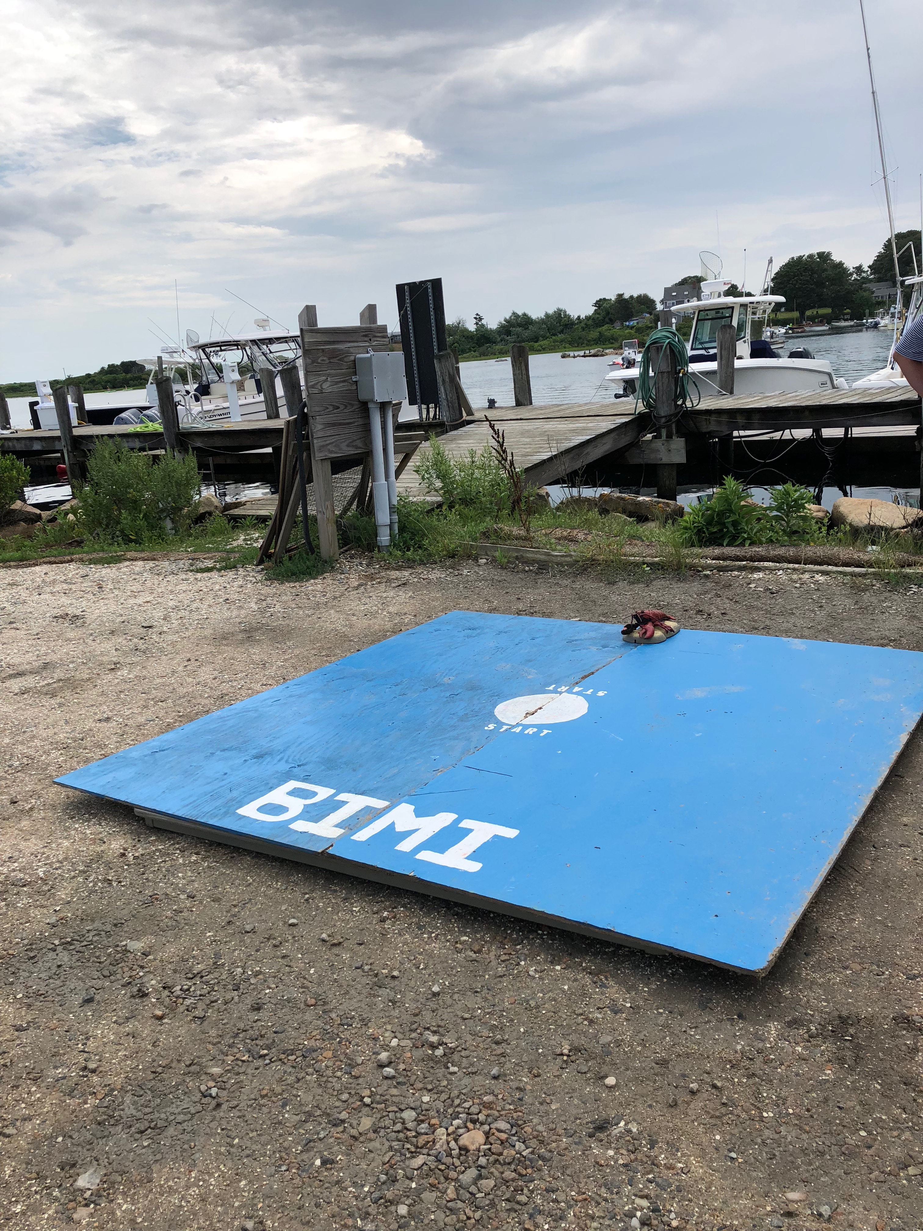 081218-crab-race-track