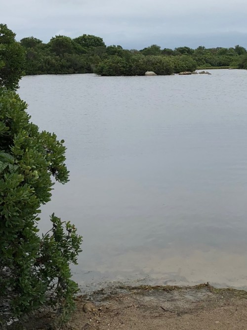 081918-New-Shreham-tughole