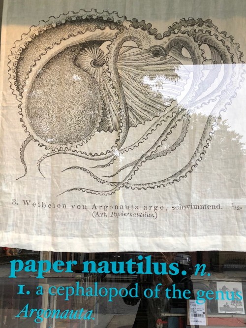 082018-Paper-Nautilus