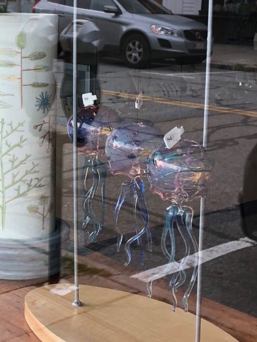 090718-OMG-glass-jellyfish