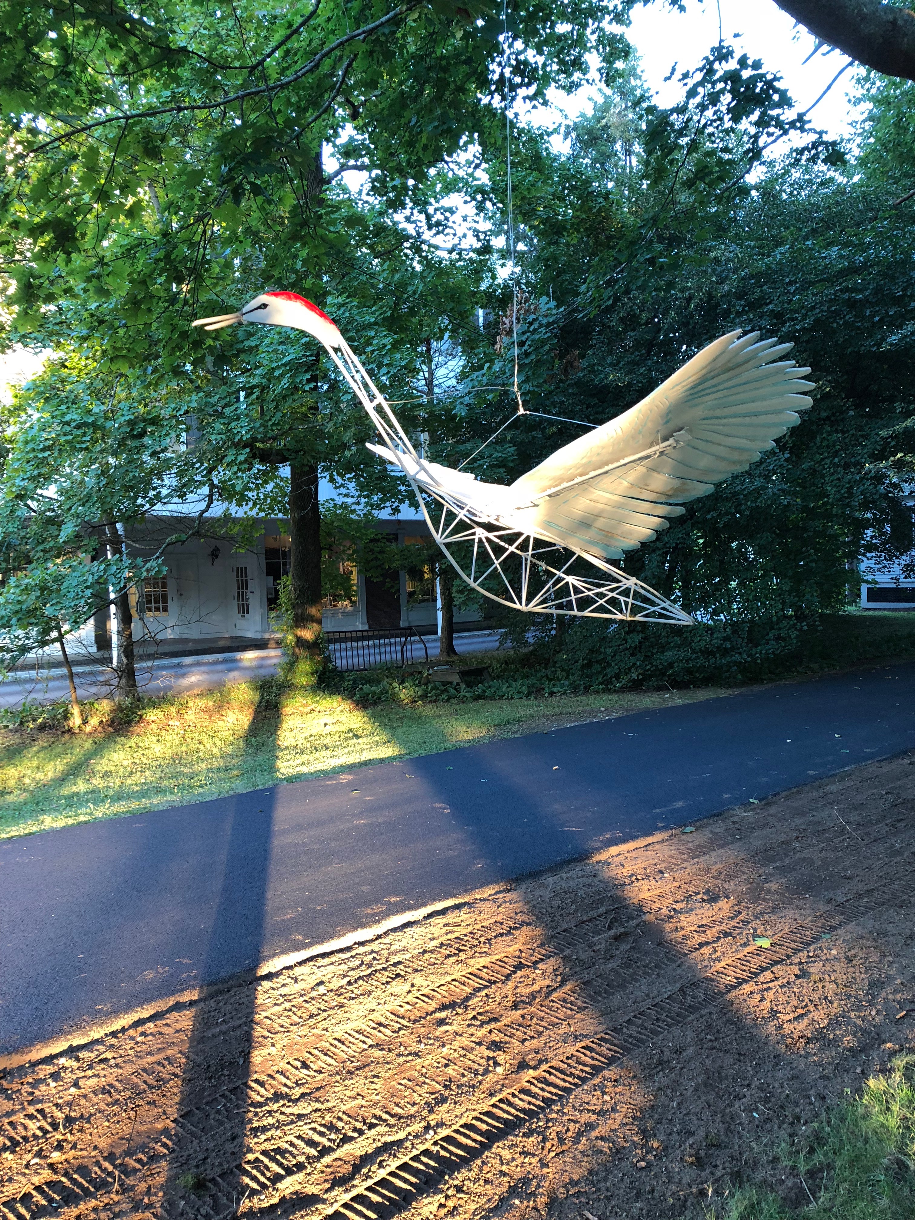 091418-sandhill-crane-at-dusk