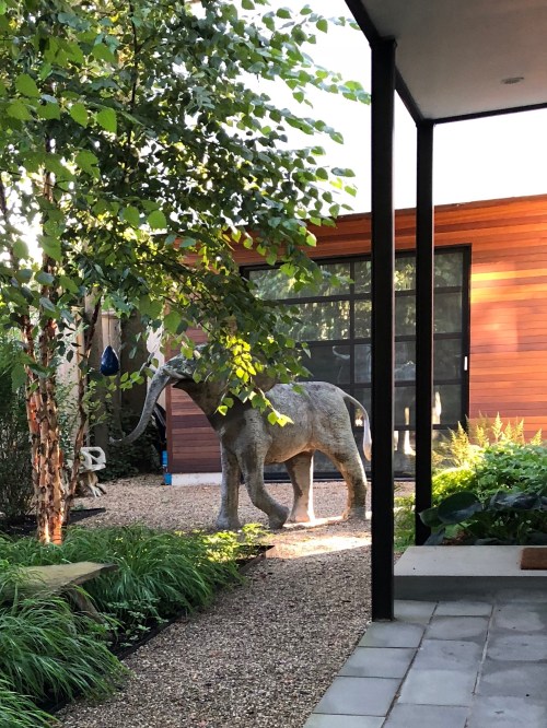 091618-neighborhood-elephant-sculpture