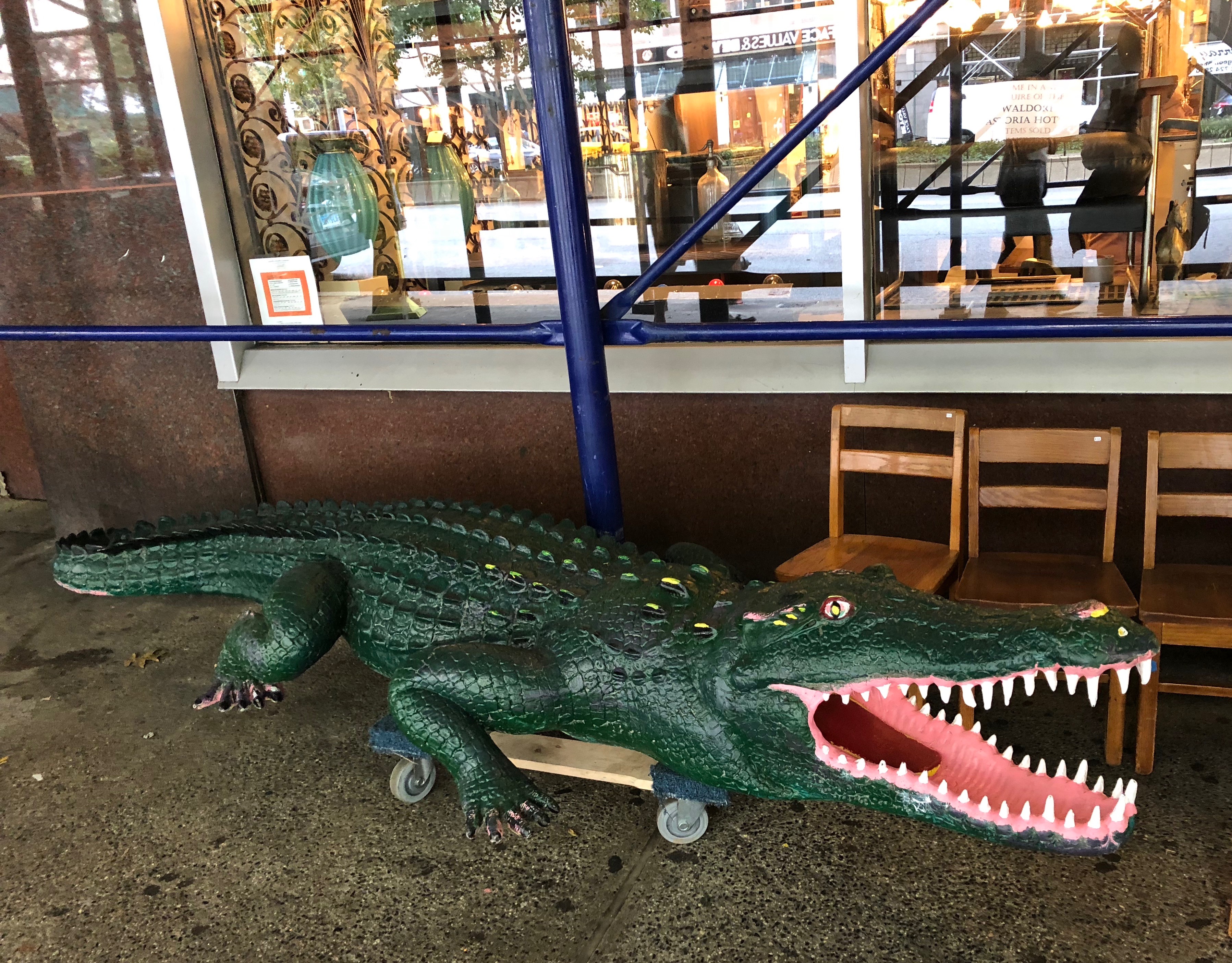 091918-alligator-in-New-York