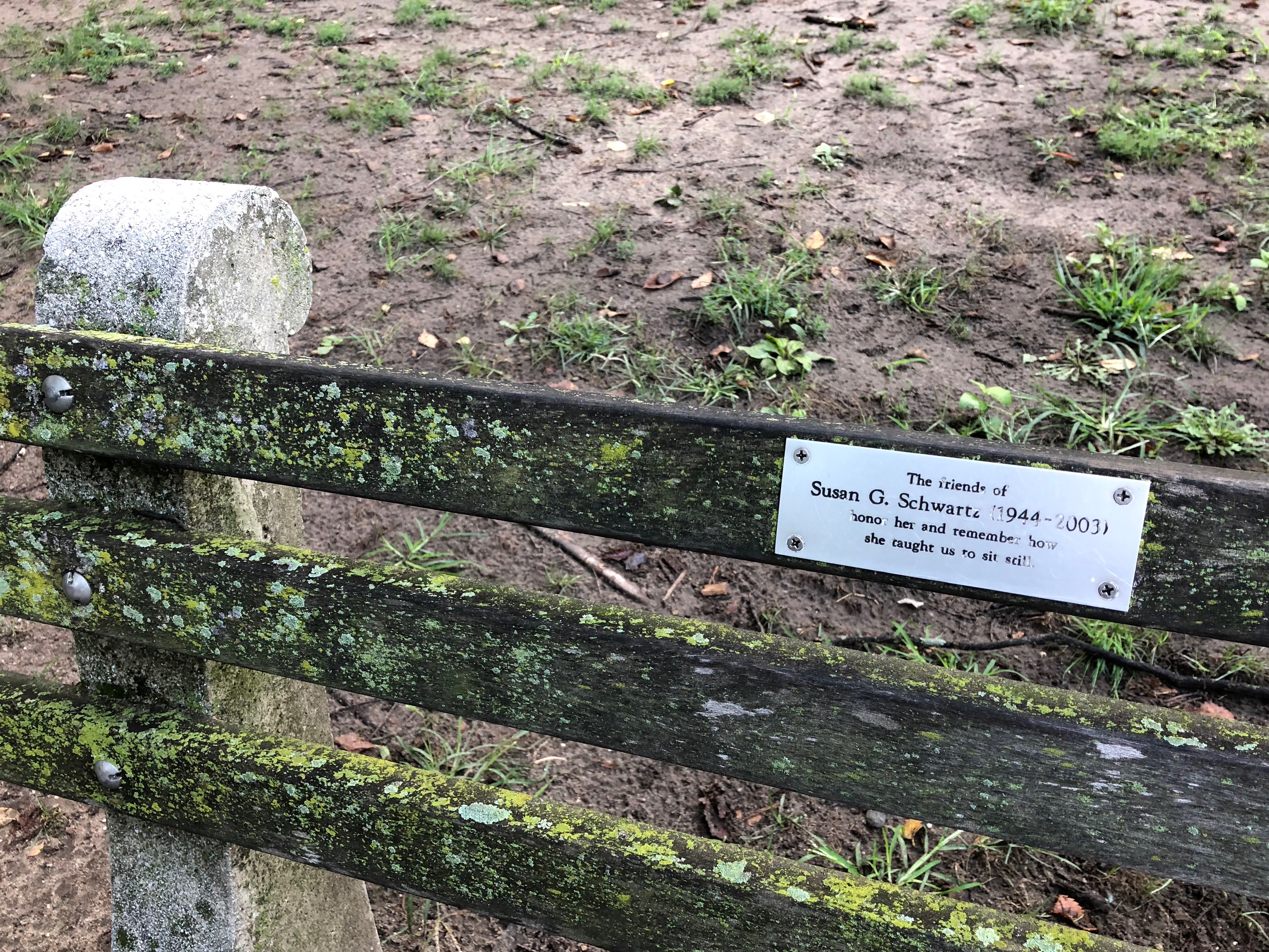 091918-remember-how-she-taught-us-to-sit-still