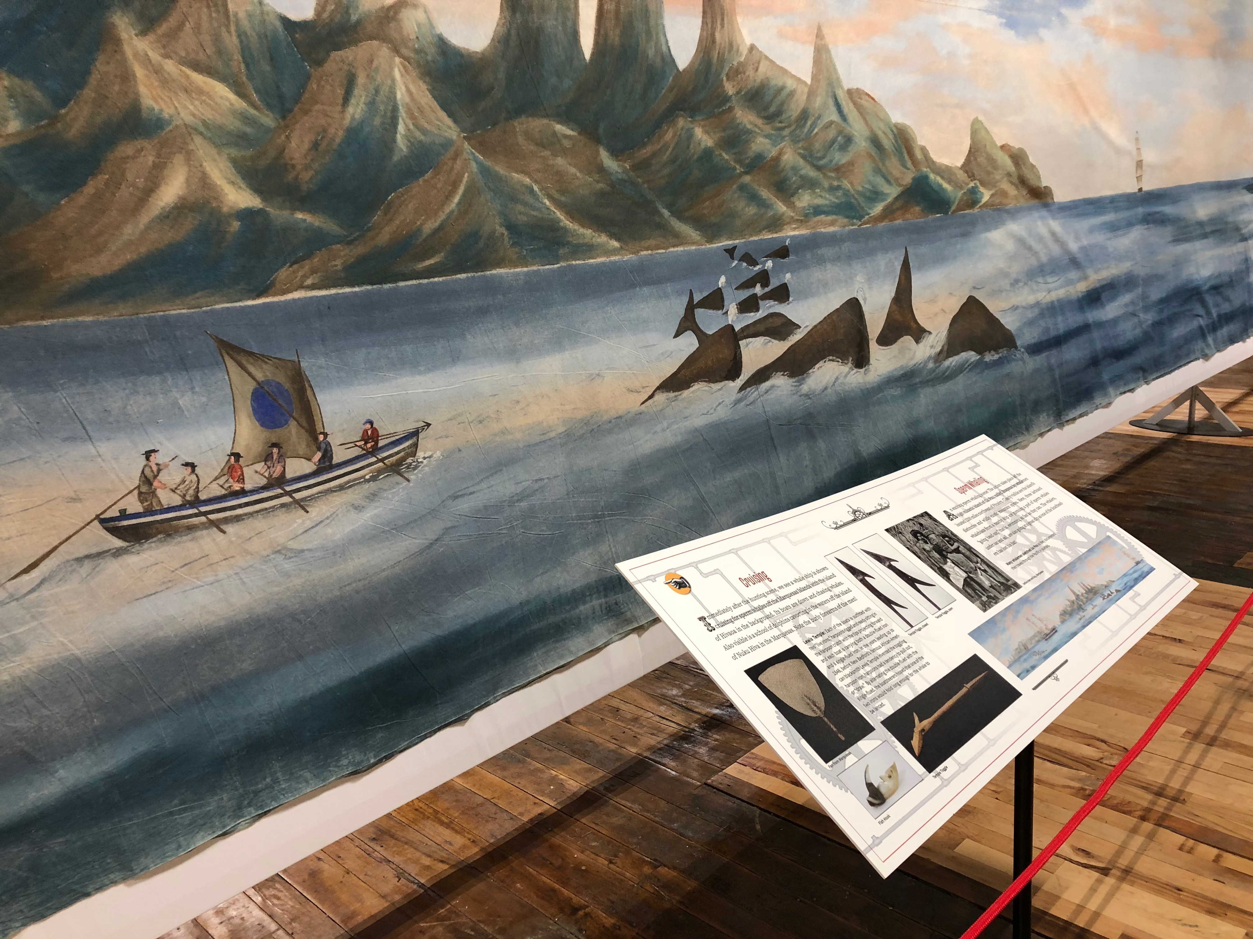 092518-pod-of-whales-in-Panorama