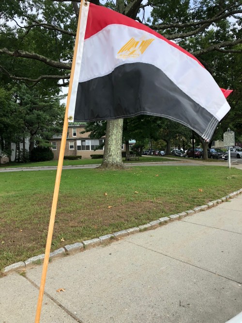 092118-Egyptian-flag-International-Peace-Day