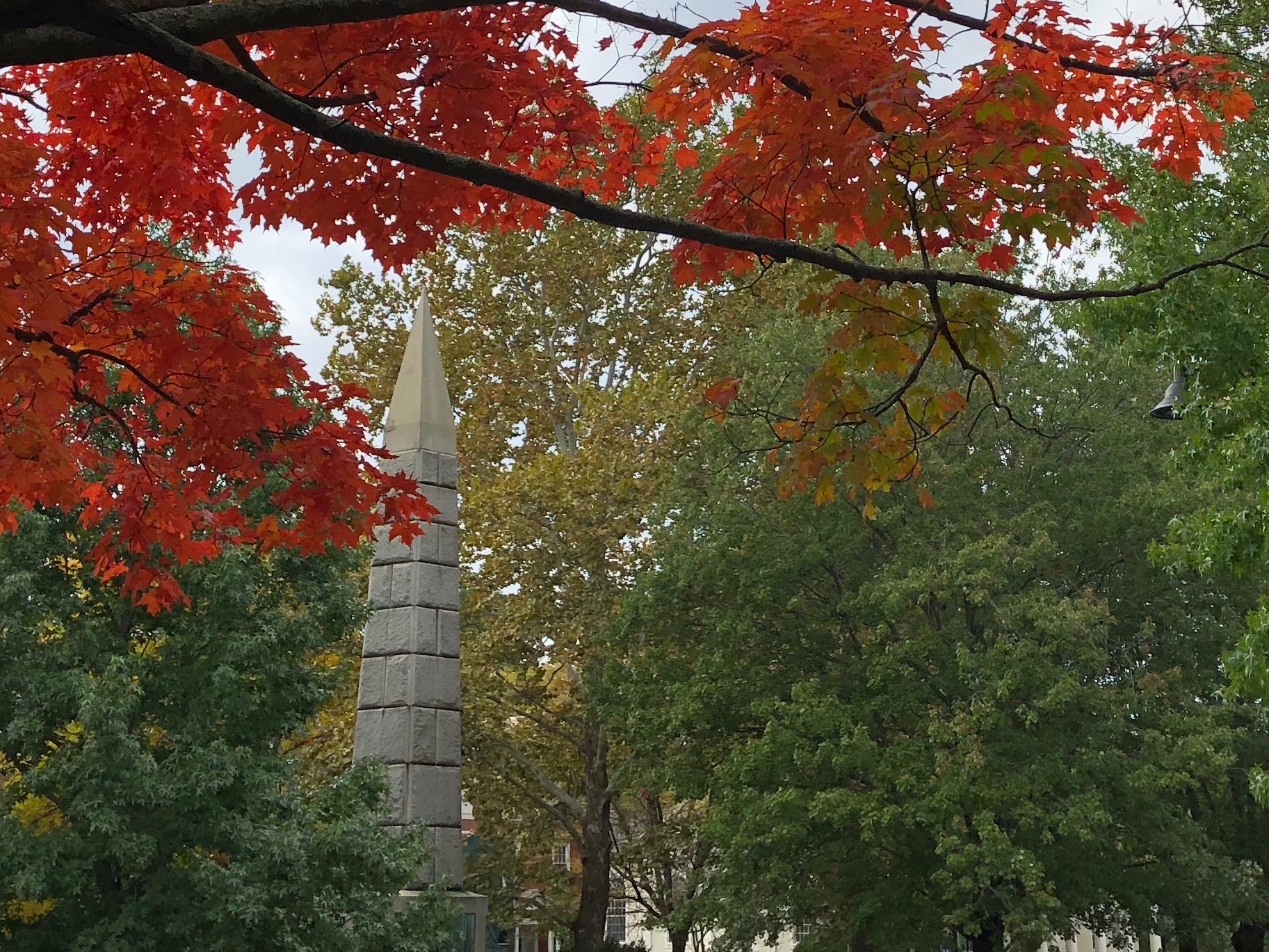 100918-fall-in-ConcordMA