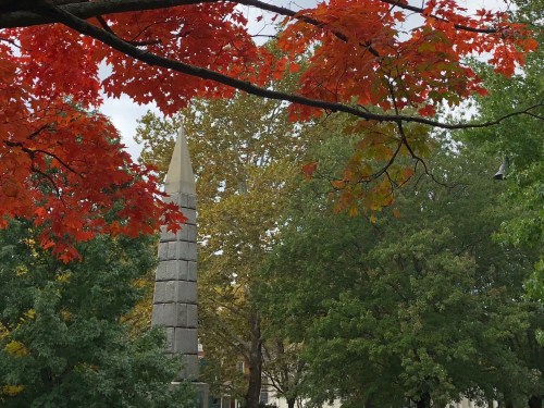 100918-fall-in-ConcordMA