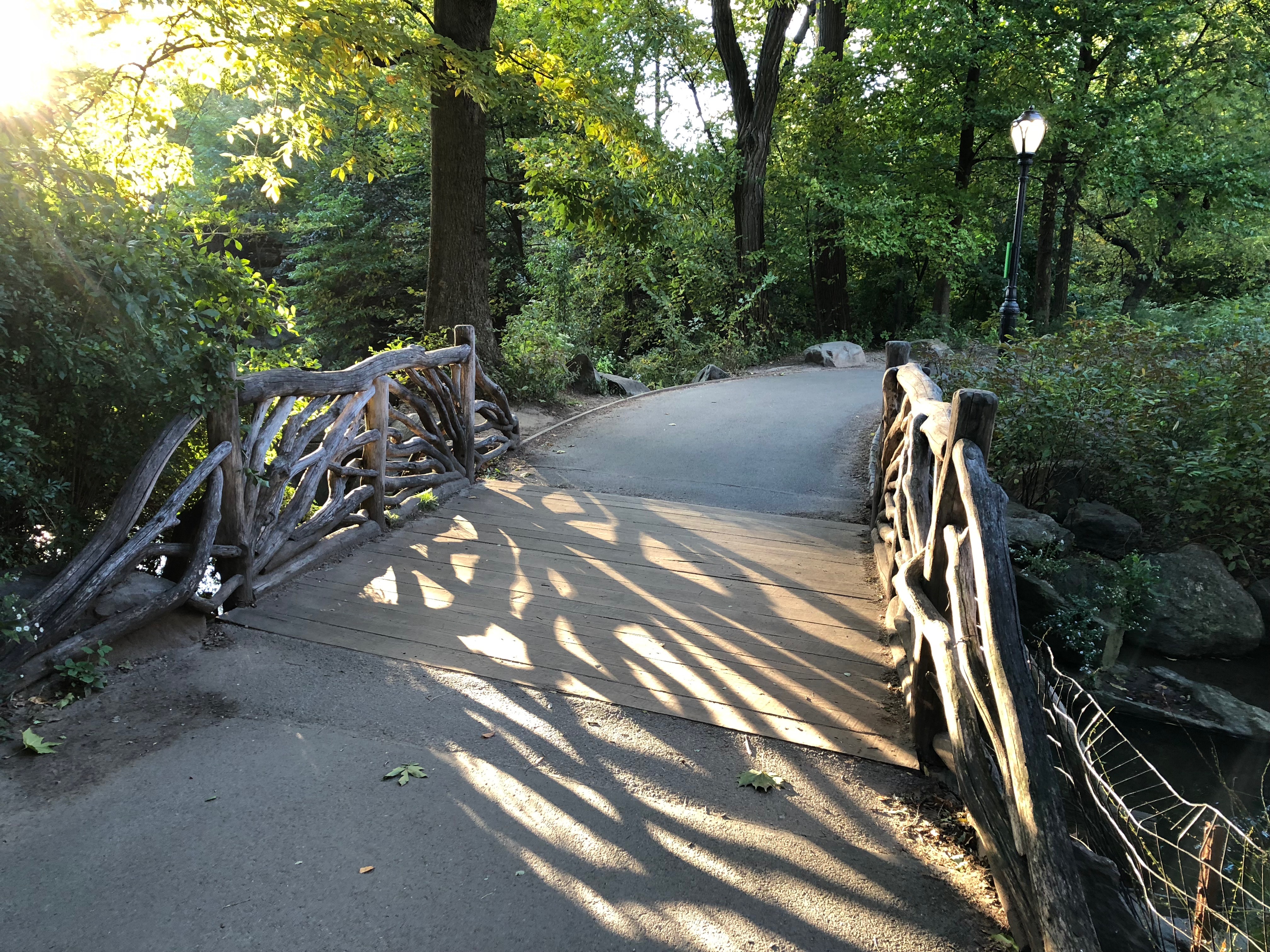 102418-fairytale-bridge-Central-Park