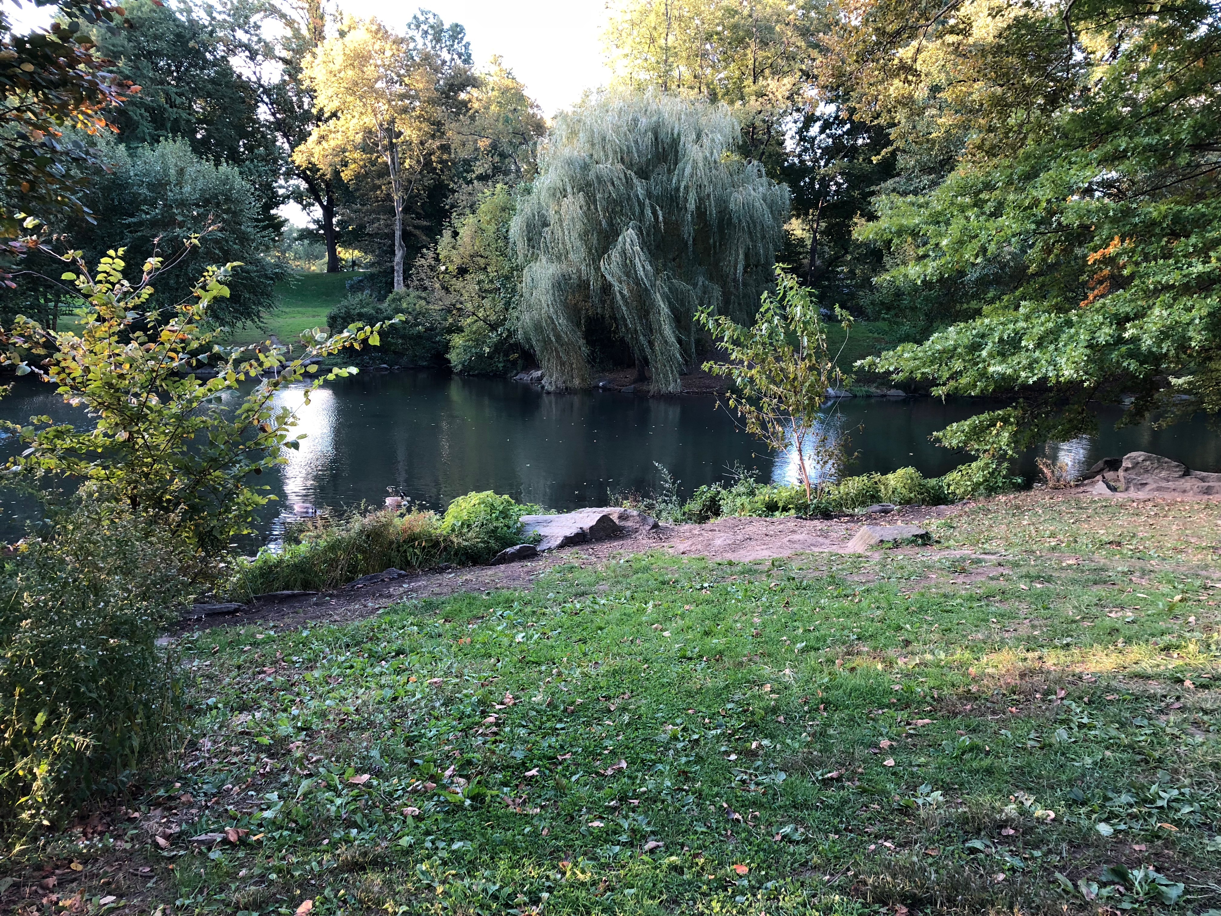 102418-Good-Morning-Central-Park
