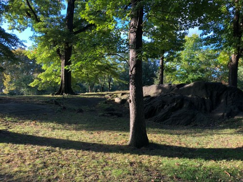 102418-morning-shadows-Central-Park