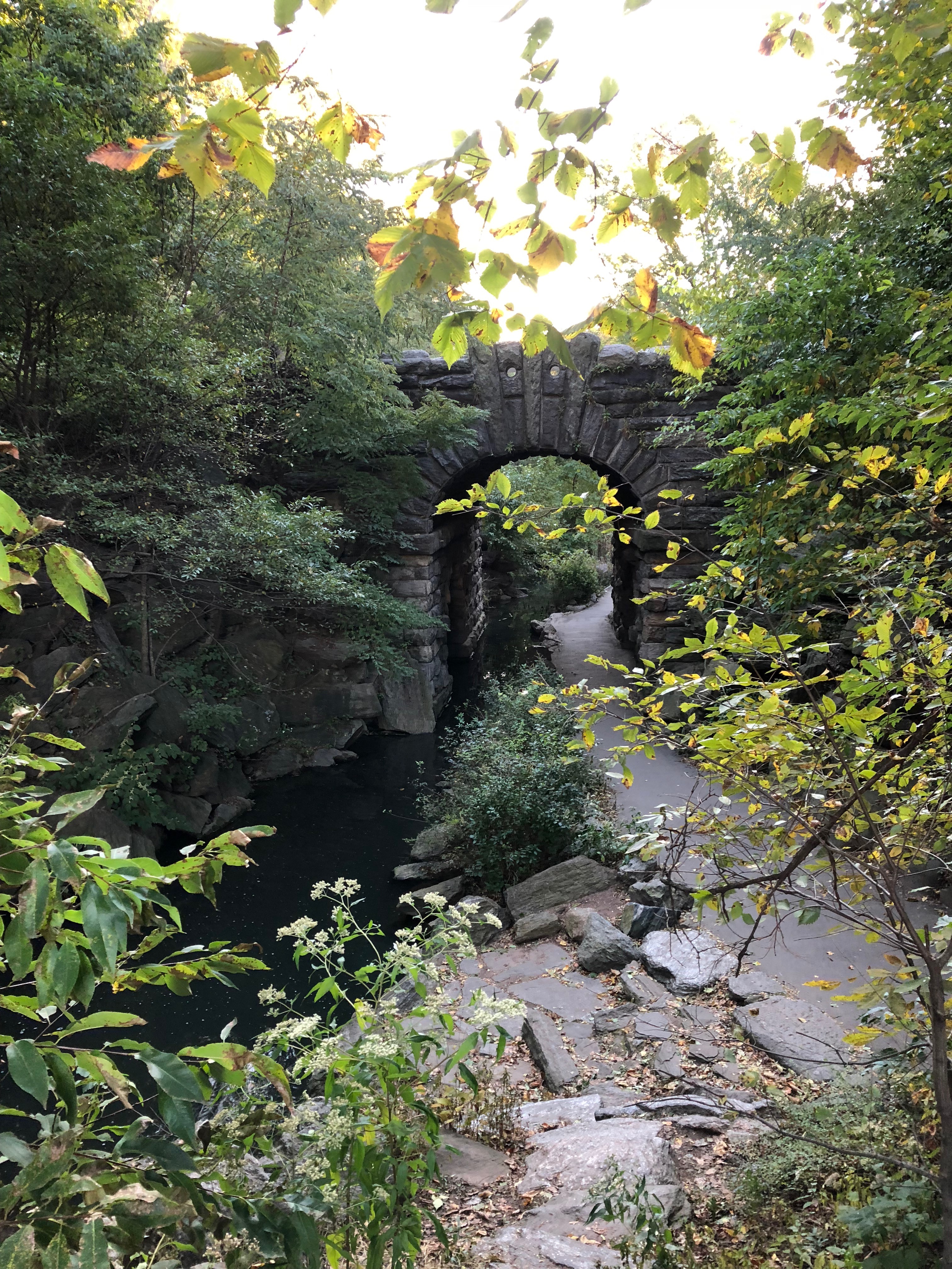 102518-beckoning-path-in-park