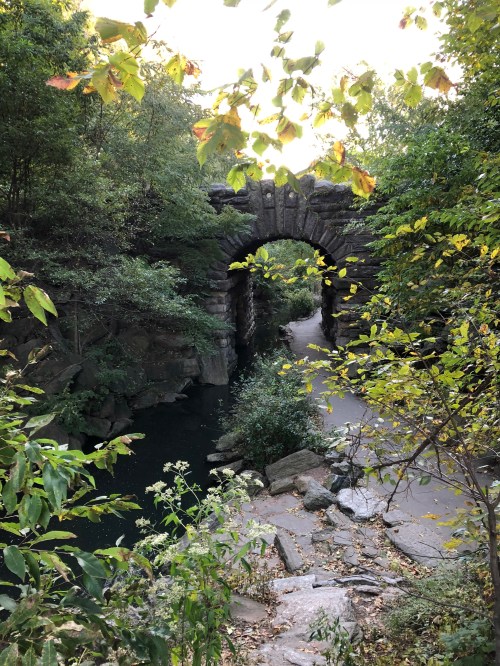 102518-beckoning-path-in-park